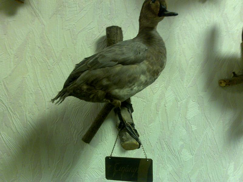 20081025410.jpg