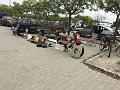 IMG_0252
