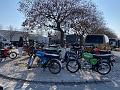 IMG_6041