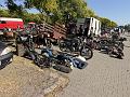 IMG_2355