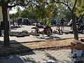IMG_2833