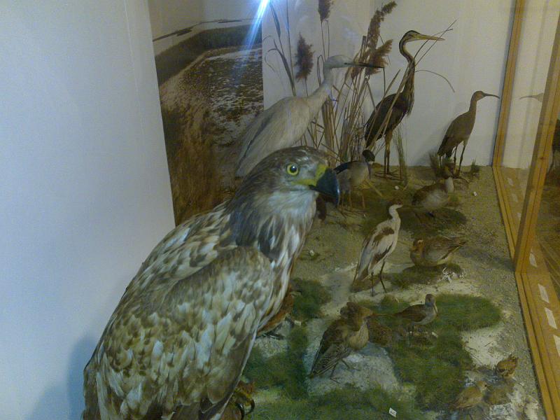 20081129914.jpg