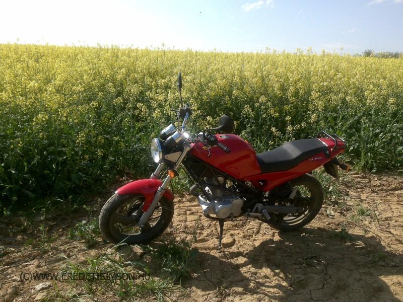 schikra.jpg