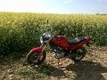 schikra
