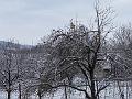 IMG_5903