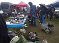 WP_20161105_09_53_48_Pro
