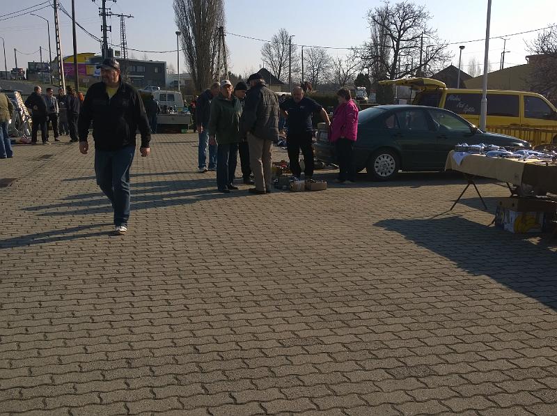 WP_20150321_08_41_37_Pro.jpg