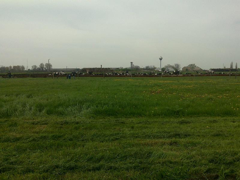 201004188489.jpg