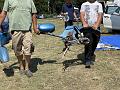 IMG_3904