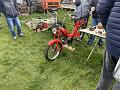 IMG_7264