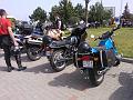 WP_003047