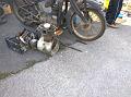 WP_20140315_07_48_05_Pro