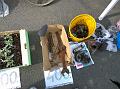 WP_20140315_09_31_26_Pro