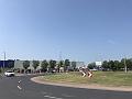 IMG_4656