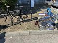 IMG_2645