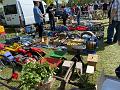 IMG_2656