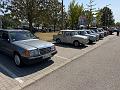IMG_3235