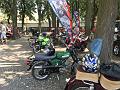 IMG_0523