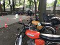 IMG_4707