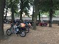 IMG_8287