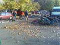 20081012185