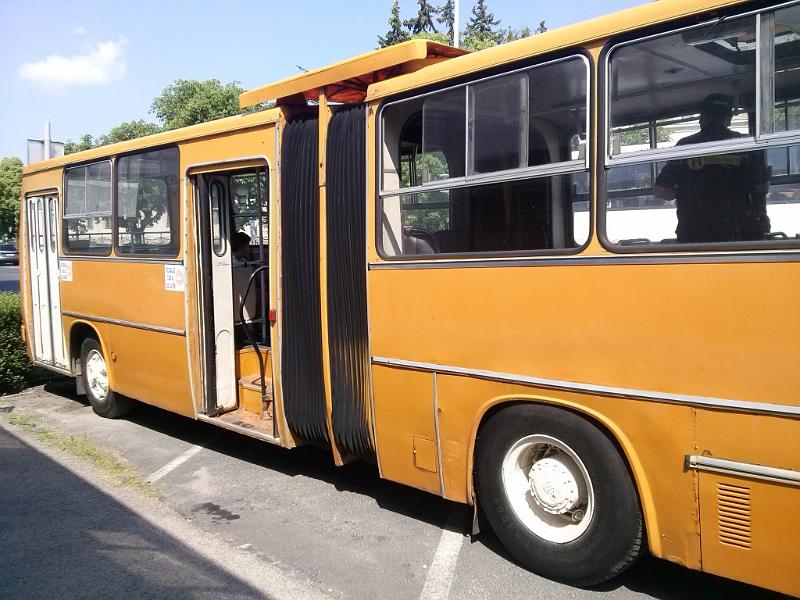CAM04074.jpg