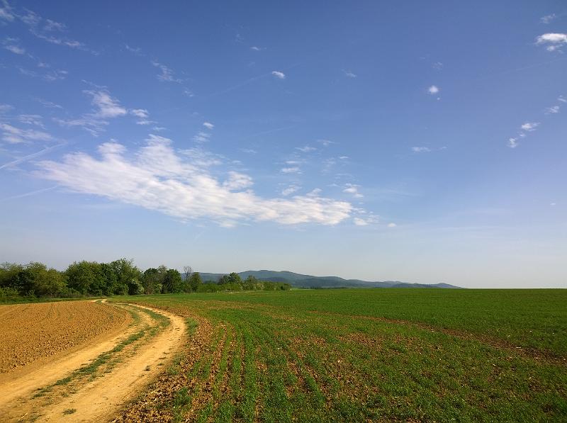 WP_20150506_16_22_00_Pro.jpg