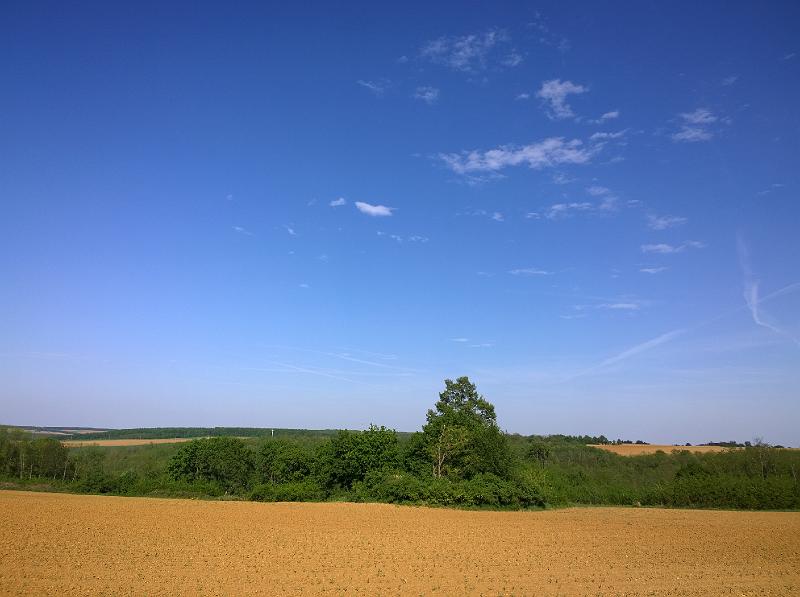 WP_20150506_16_22_08_Pro.jpg