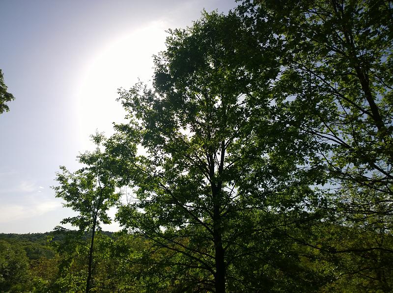 WP_20150506_16_47_58_Pro.jpg