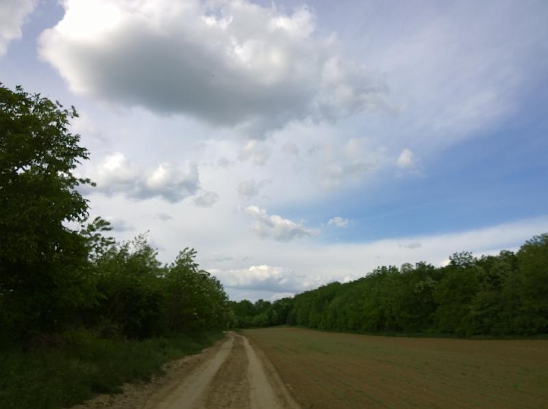 WP_20150510_17_04_30_Pro.jpg