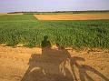WP_20150505_18_04_11_Pro