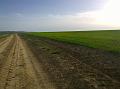 WP_20150505_18_04_28_Pro