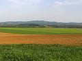 WP_20150505_18_04_53_Pro