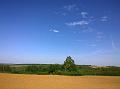 WP_20150506_16_22_08_Pro