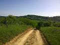 WP_20150506_16_35_03_Pro