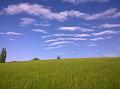 WP_20150506_16_37_43_Pro