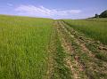 WP_20150506_16_38_10_Pro