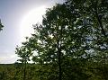 WP_20150506_16_47_58_Pro