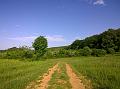 WP_20150506_16_52_56_Pro