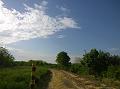 WP_20150506_17_03_21_Pro