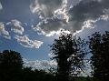 WP_20150510_17_04_23_Pro