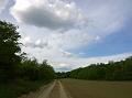 WP_20150510_17_04_30_Pro
