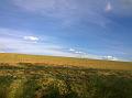 WP_20150510_17_05_38_Pro