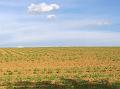 WP_20150510_17_06_15_Pro