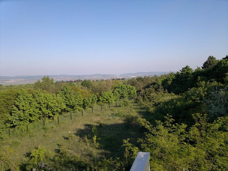 20110506787.jpg
