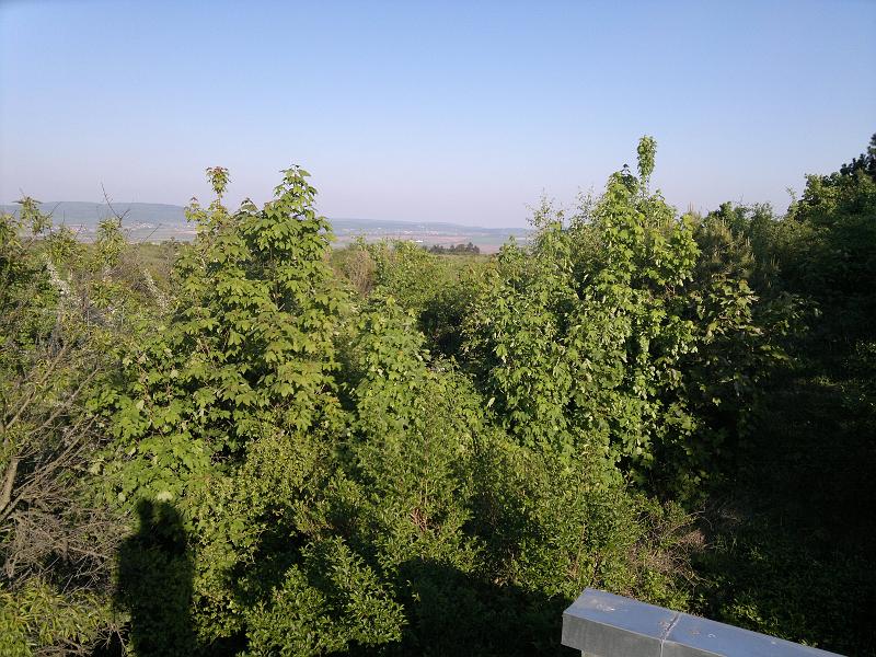 20110506793.jpg
