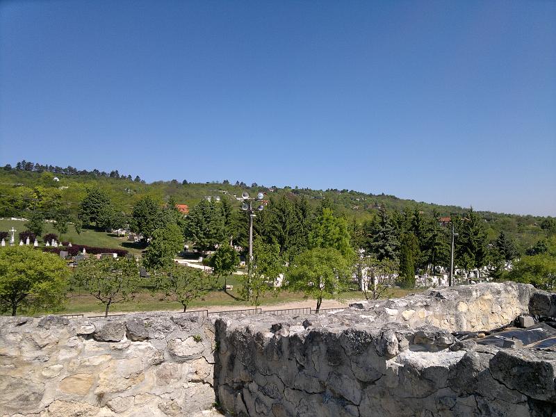 20110507944.jpg