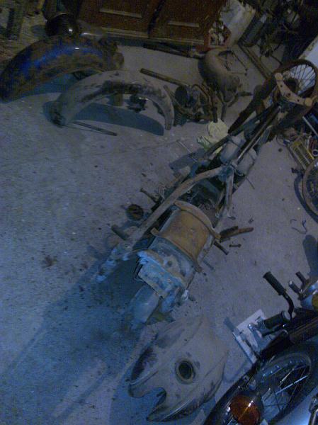 20081108595.jpg