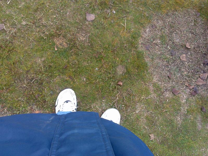 20081108607.jpg